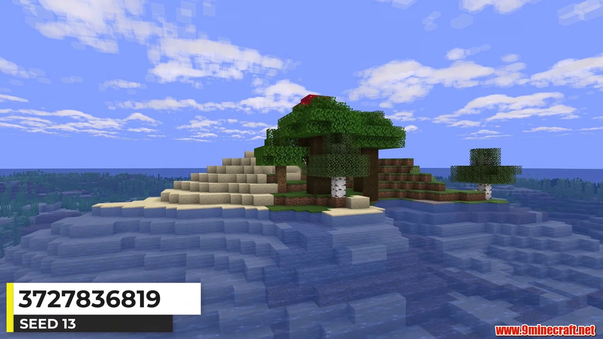 Dark Forest Canopy Island - Minecraft 26.3 Island Seed 3727836819 view 1