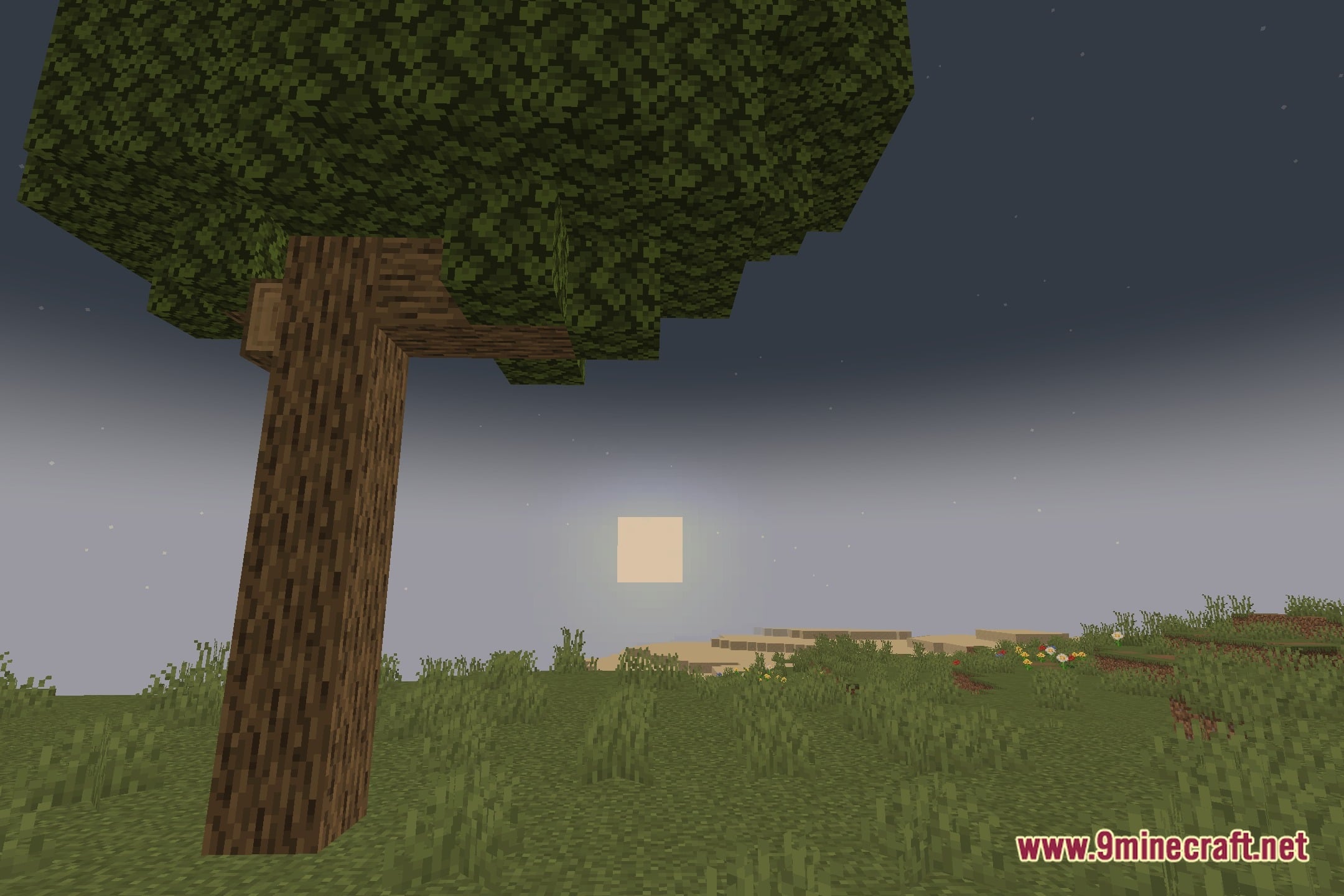 EyeComfort Shaders Screenshot 4