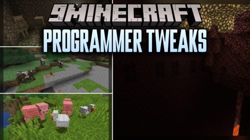 Programmer Tweaks Model