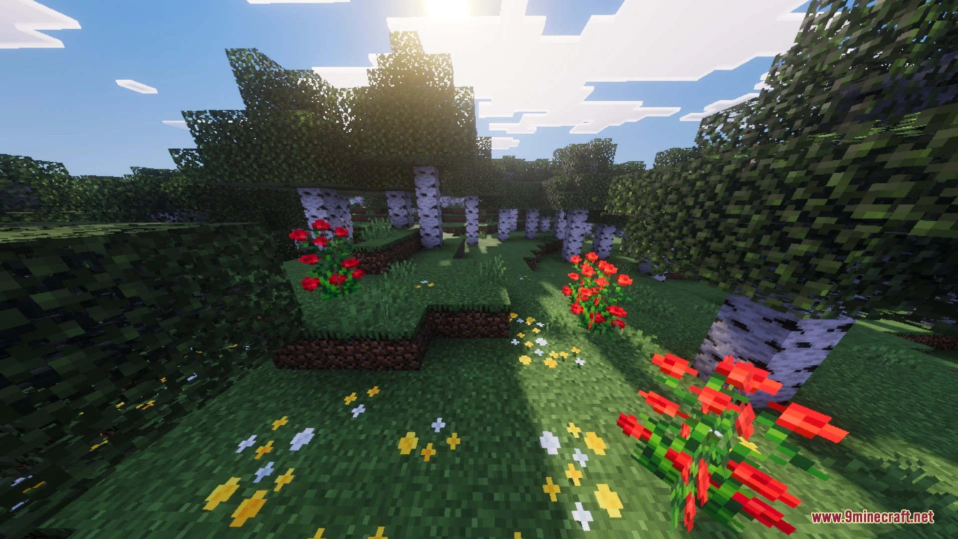 Solace Lite Shader (26.x) – Realistic Water Caustics and 16x Normal Maps Screenshot 5