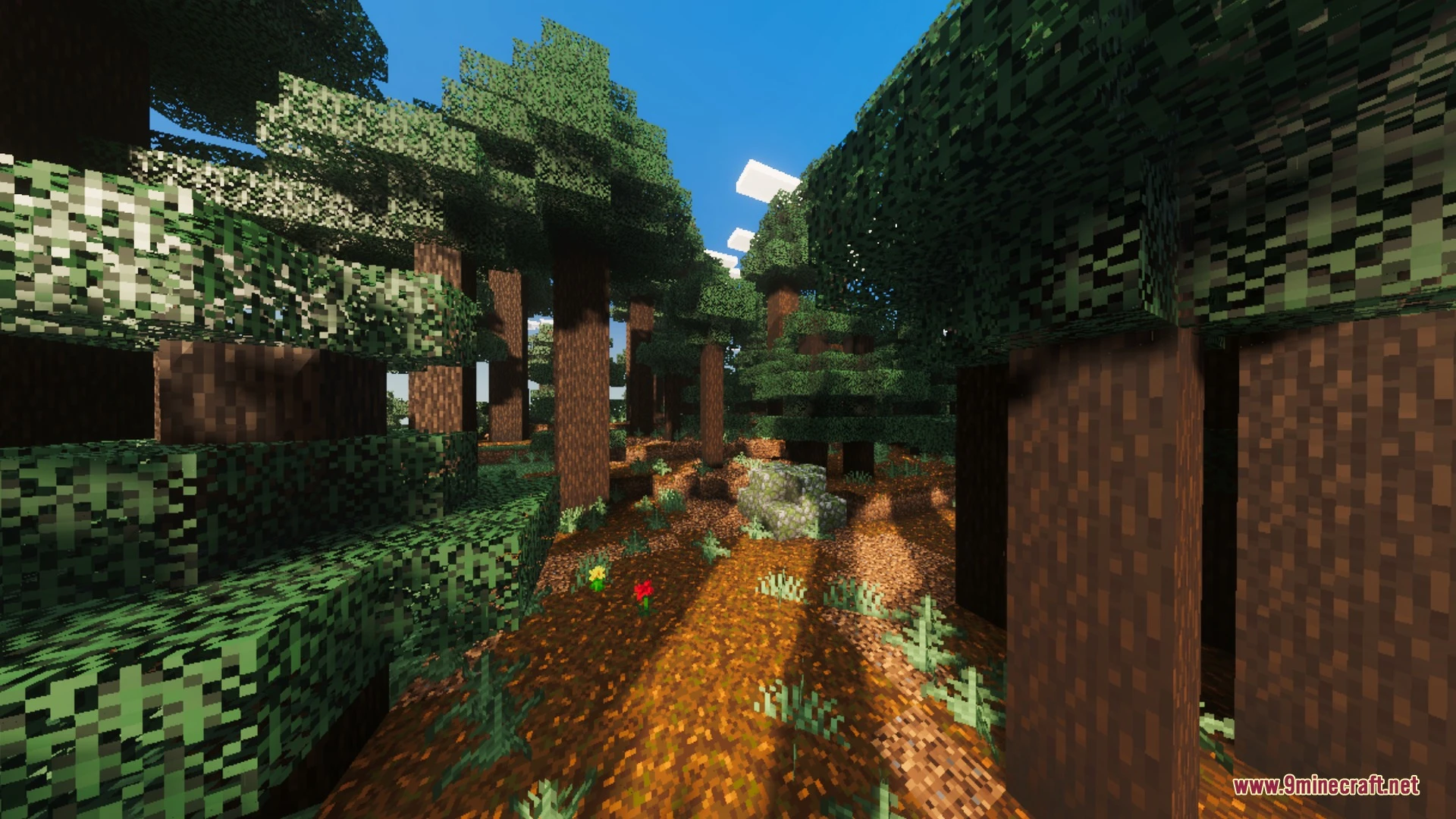 Complimentory Vibrant Visuals Shader (26.x, 1.21) – PBR Textures and Rich Screenshot 9 Complimentory Vibrant Visuals Shader (26.x, 1.21) – PBR Textures and Rich Screenshot 9
