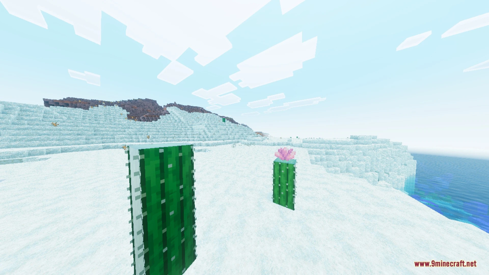 Animation Shader (26.x, 1.21) – Lag-Free Water and PBR Shading on Any Phone Screenshot 3 Animation Shader (26.x, 1.21) – Lag-Free Water and PBR Shading on Any Phone Screenshot 3