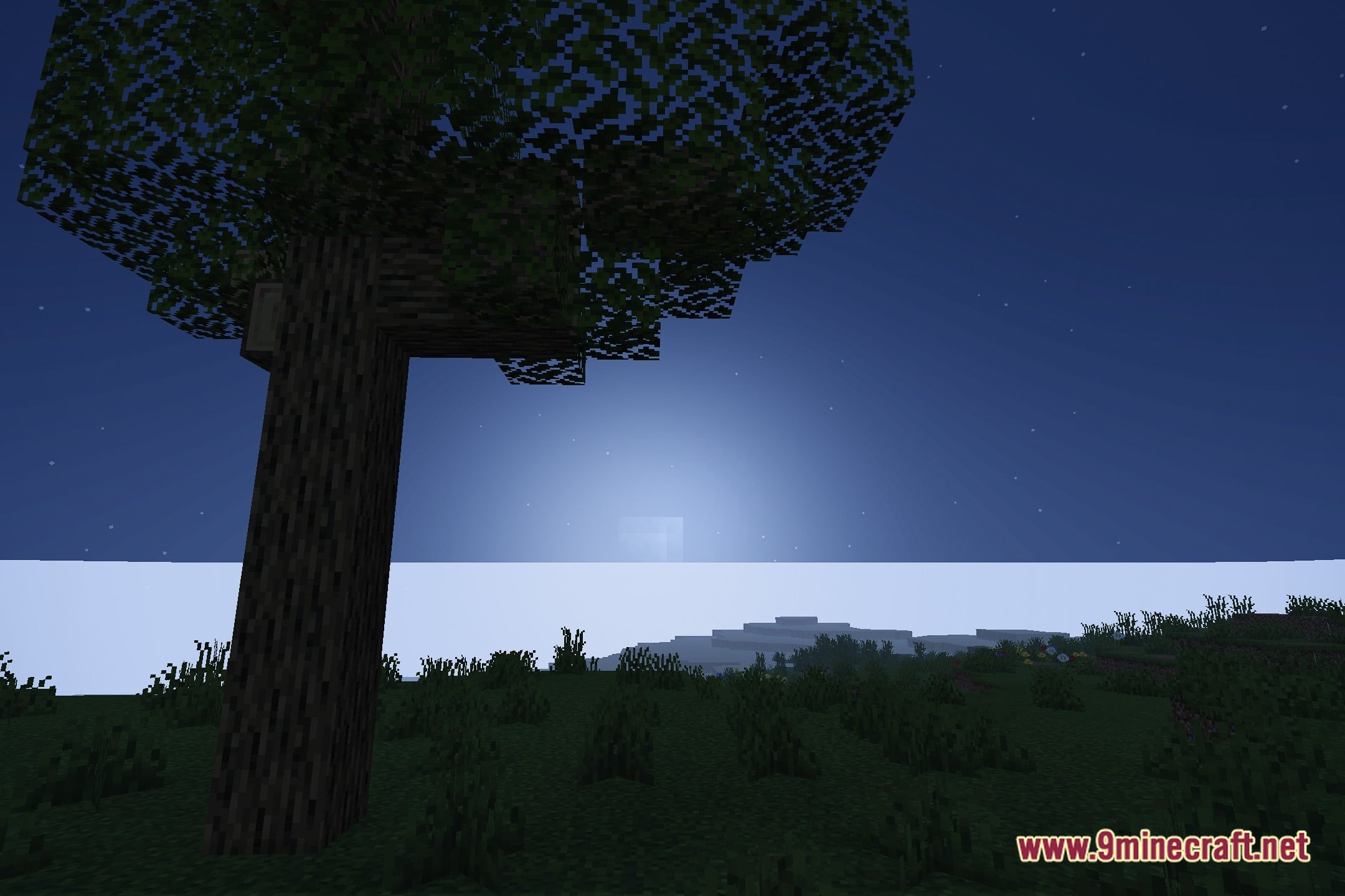 SirDrake's Shaders Screenshot 4