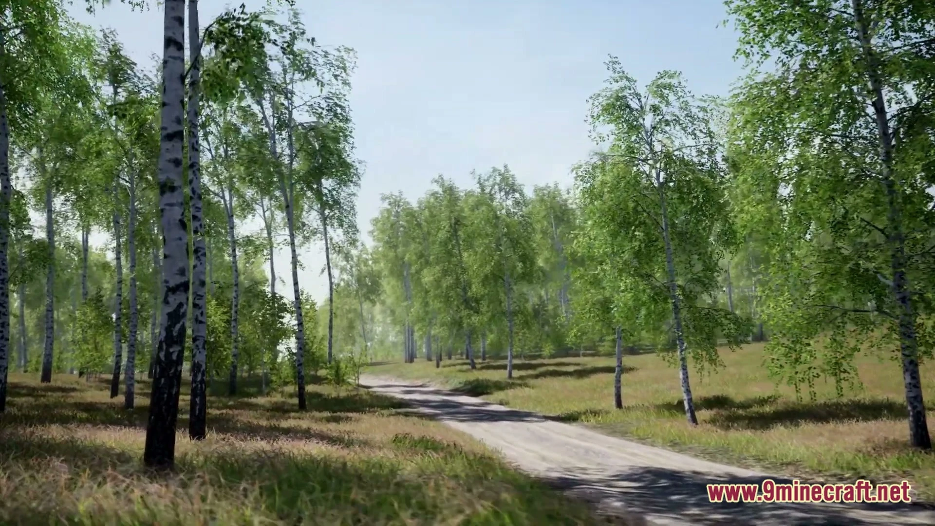 Birch Tree Asset Pack Map (26.3, 1.20.1) – Wander a Peaceful Custom Forest — screenshot 4