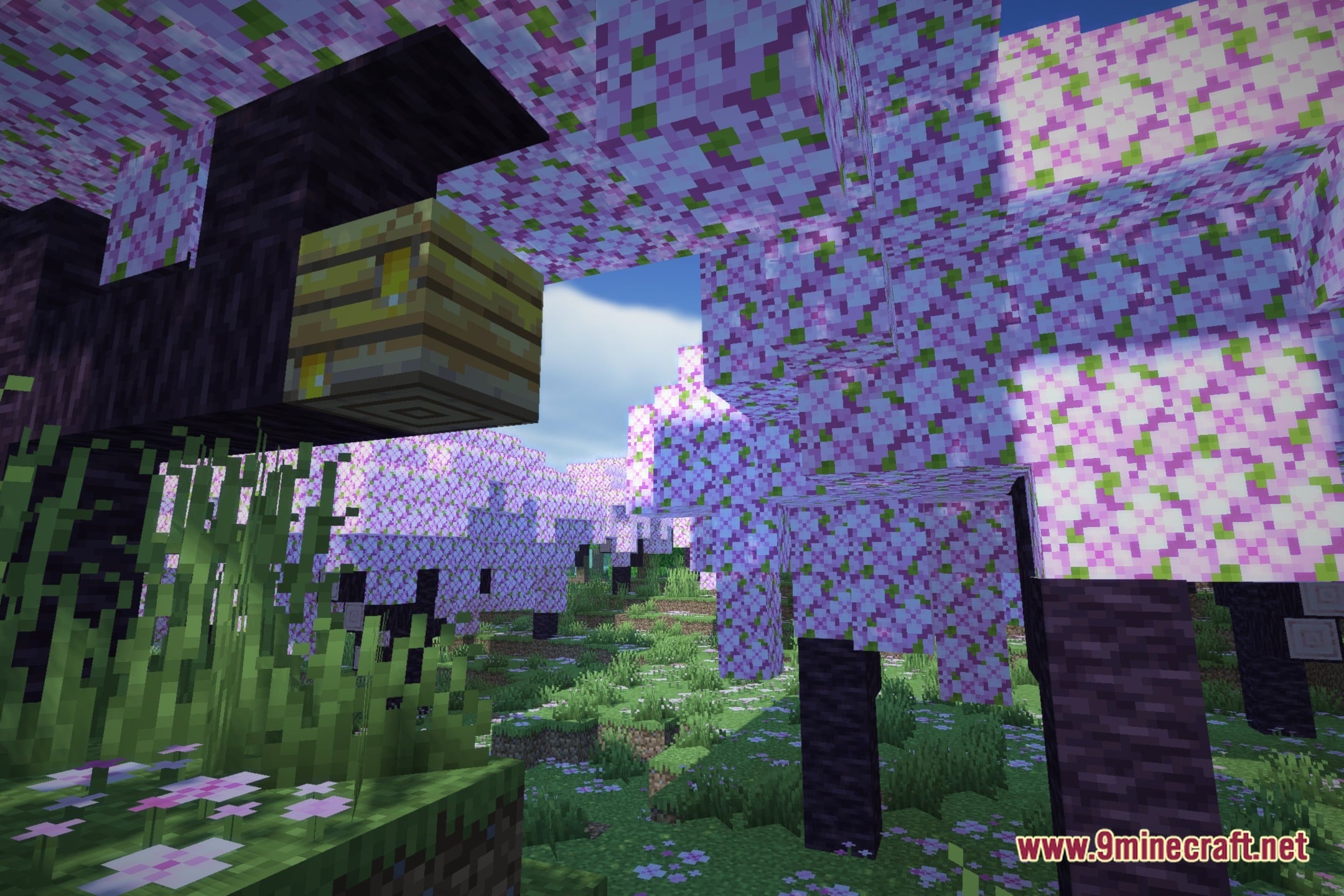 Galaxy'S Shaders (26.3, 1.20.1) – Cartoon Lighting for Budget PCs — screenshot 1