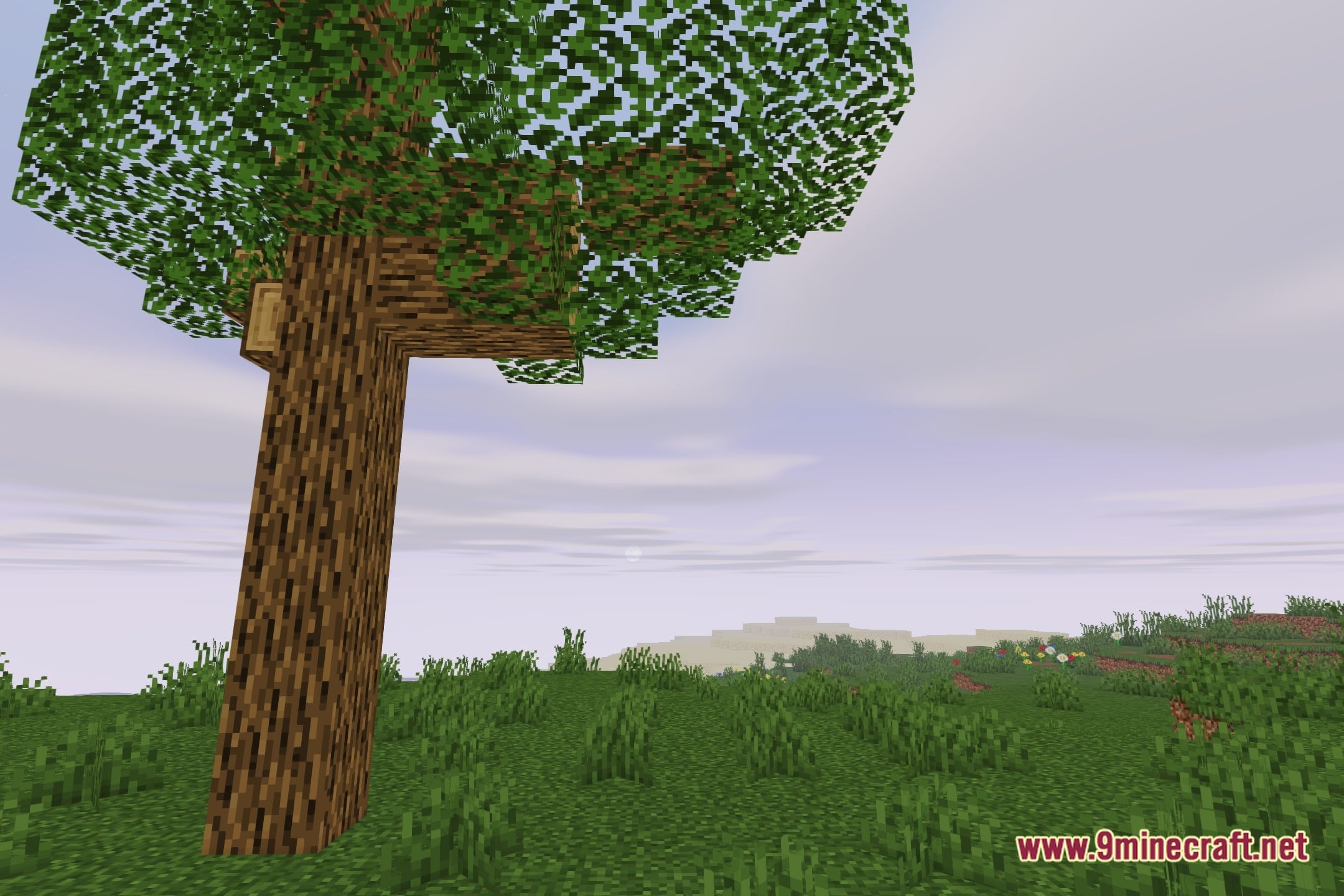 Natural Comfort Shaders (26.3, 1.20.1) – Soft Shadows and Water Reflections — screenshot 4