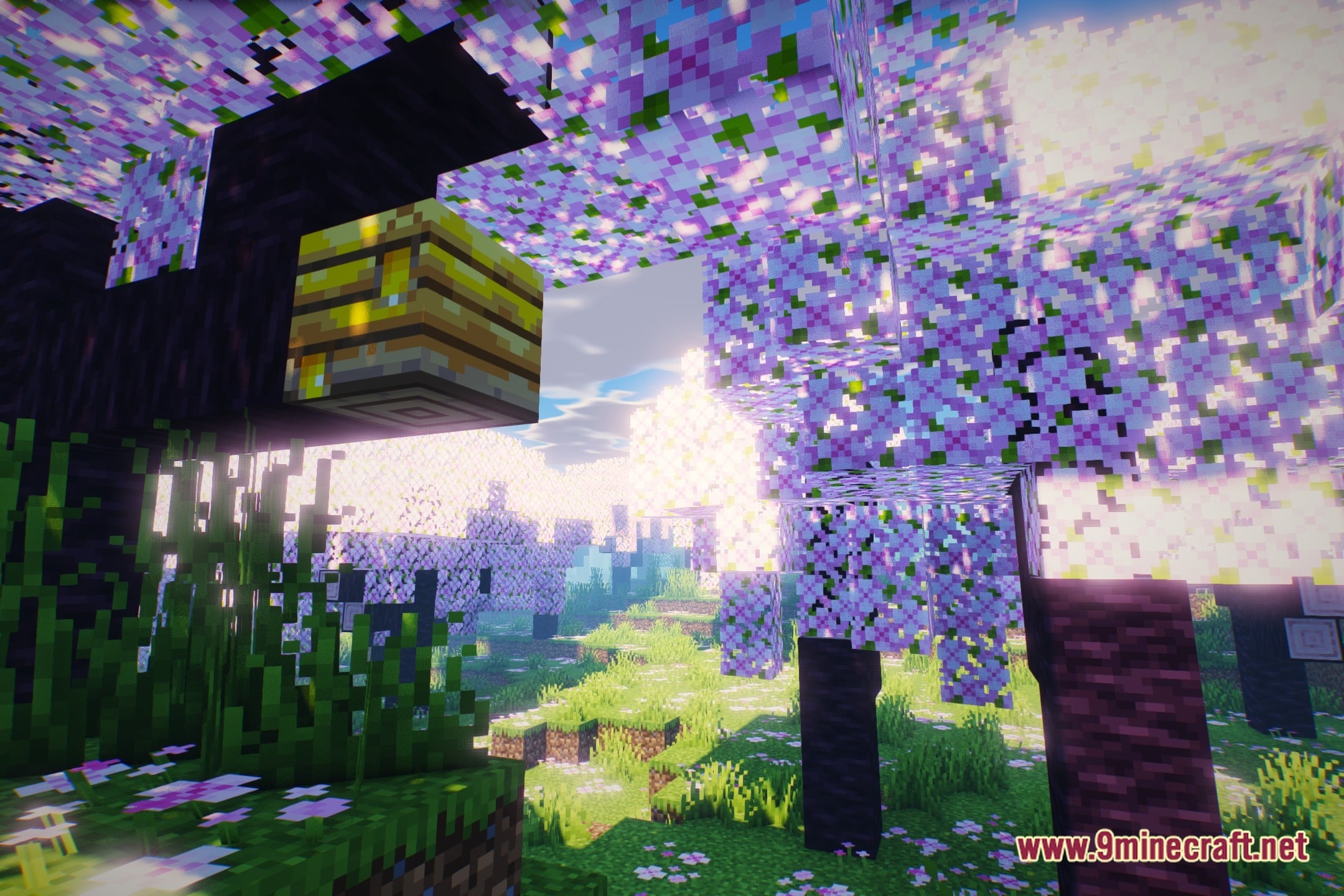 Aurora Dreams Shaders (26.3, 1.20.1) – Screen Space Reflections and Auroras — screenshot 1