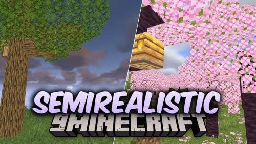 SemiRealistic Shaders