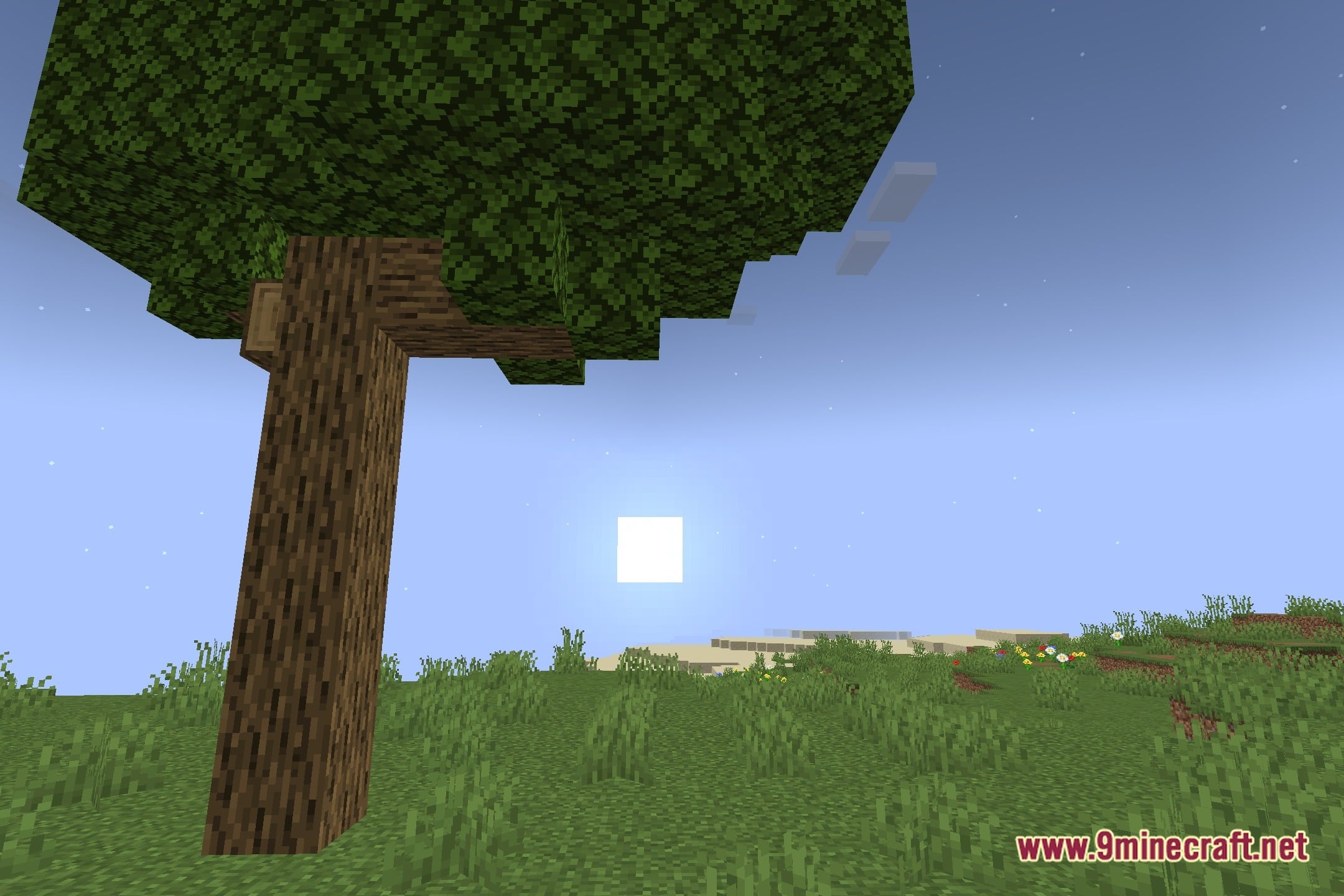 EIQFEP Shaders Screenshot 4