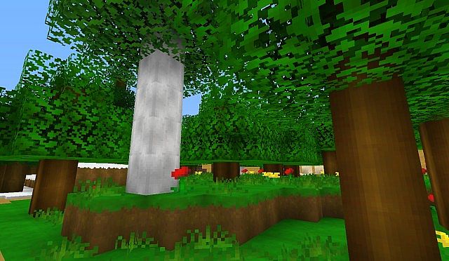 Alpha Craft Resource Pack 6