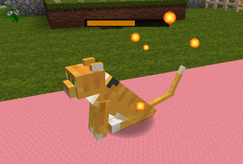 Dog-Cat-Plus-Mod-9.jpg