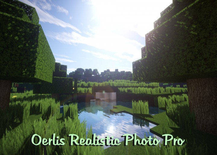 Oerlis Realistic Photo Pro Resource Pack by DelTaz 1