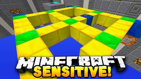 Sensitive Puzzle Map 1