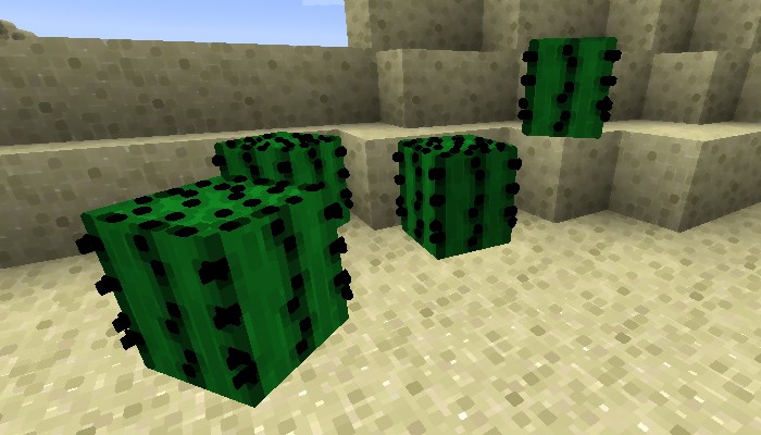 The Living Blocks Mod 4