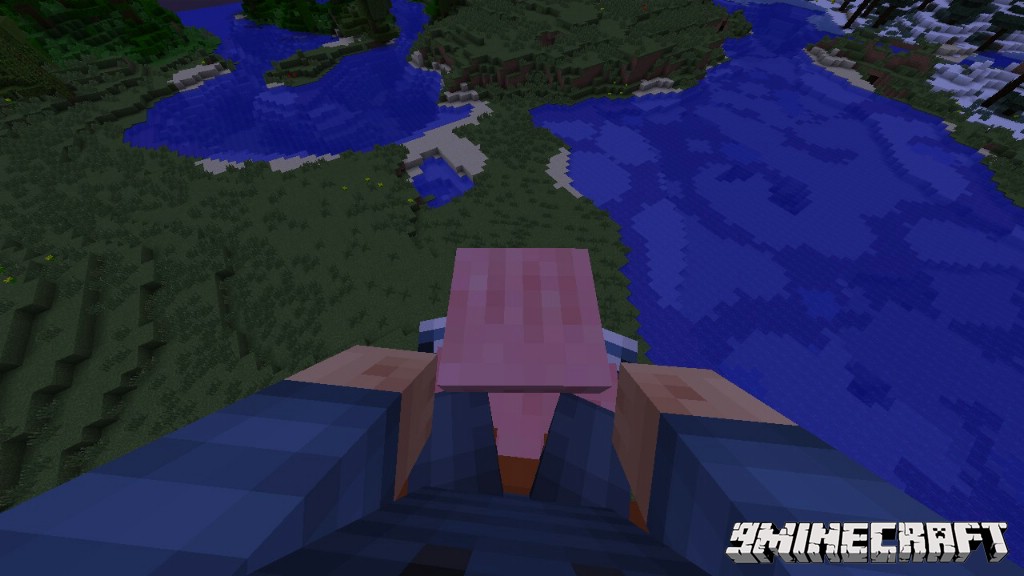 Trail Mix Mod 1.16.5, 1.15.2 (Launch, Ride, Explode Pigs) 2