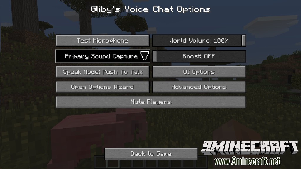 Voice Chat Mod 1.7.10 6