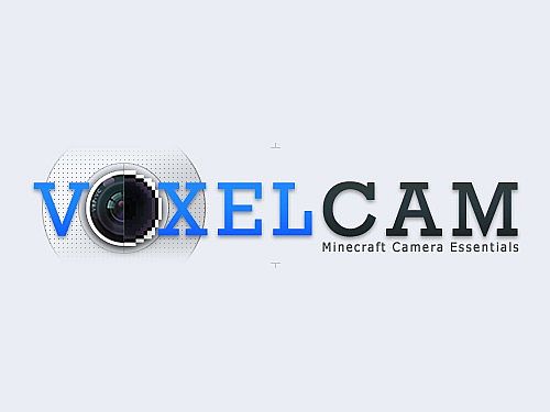 VoxelCam-Mod.jpg