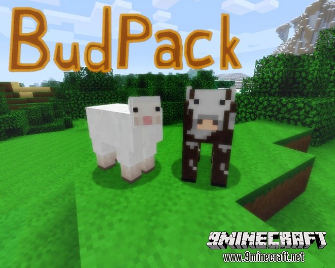 Budpack-resource-pack-2.jpg