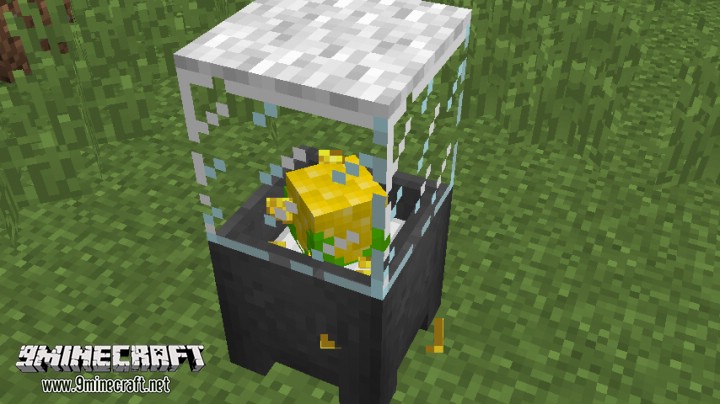 Corn and Popcorn Command Block 7