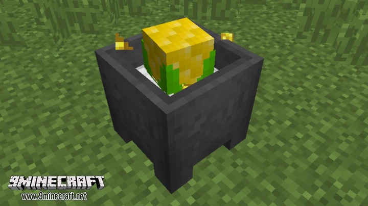 Corn and Popcorn Command Block 10