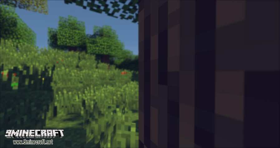 MrMeep_x3s-Shaders-Mod-2.jpg