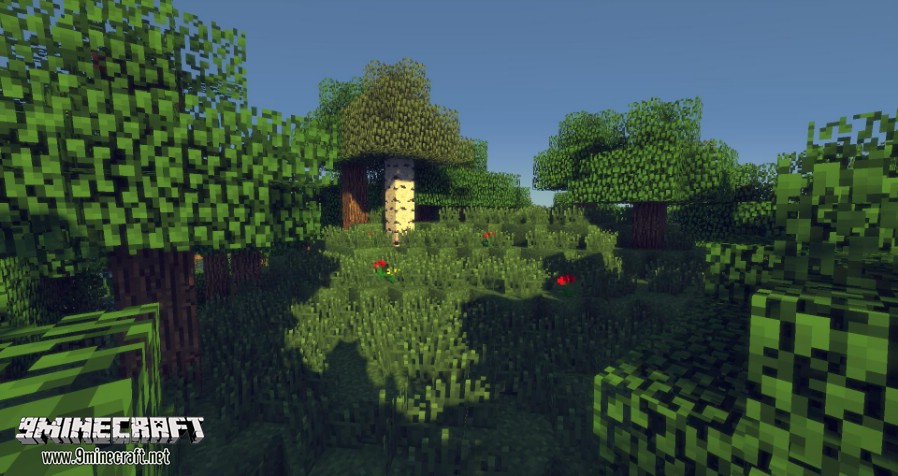 MrMeep_x3s-Shaders-Mod-3.jpg