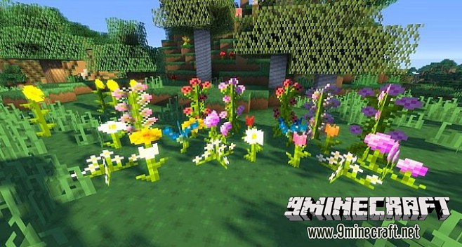 Sandy Dreams Resource Pack 3