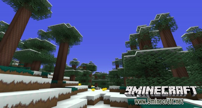 Sandy Dreams Resource Pack 8